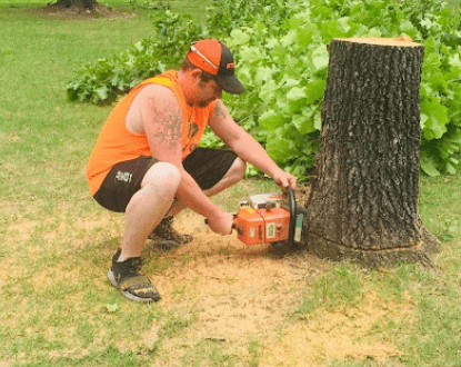TREE CUTTING
